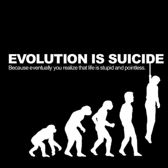 Meet your Posher, Shyanne - Picture 1 of 1